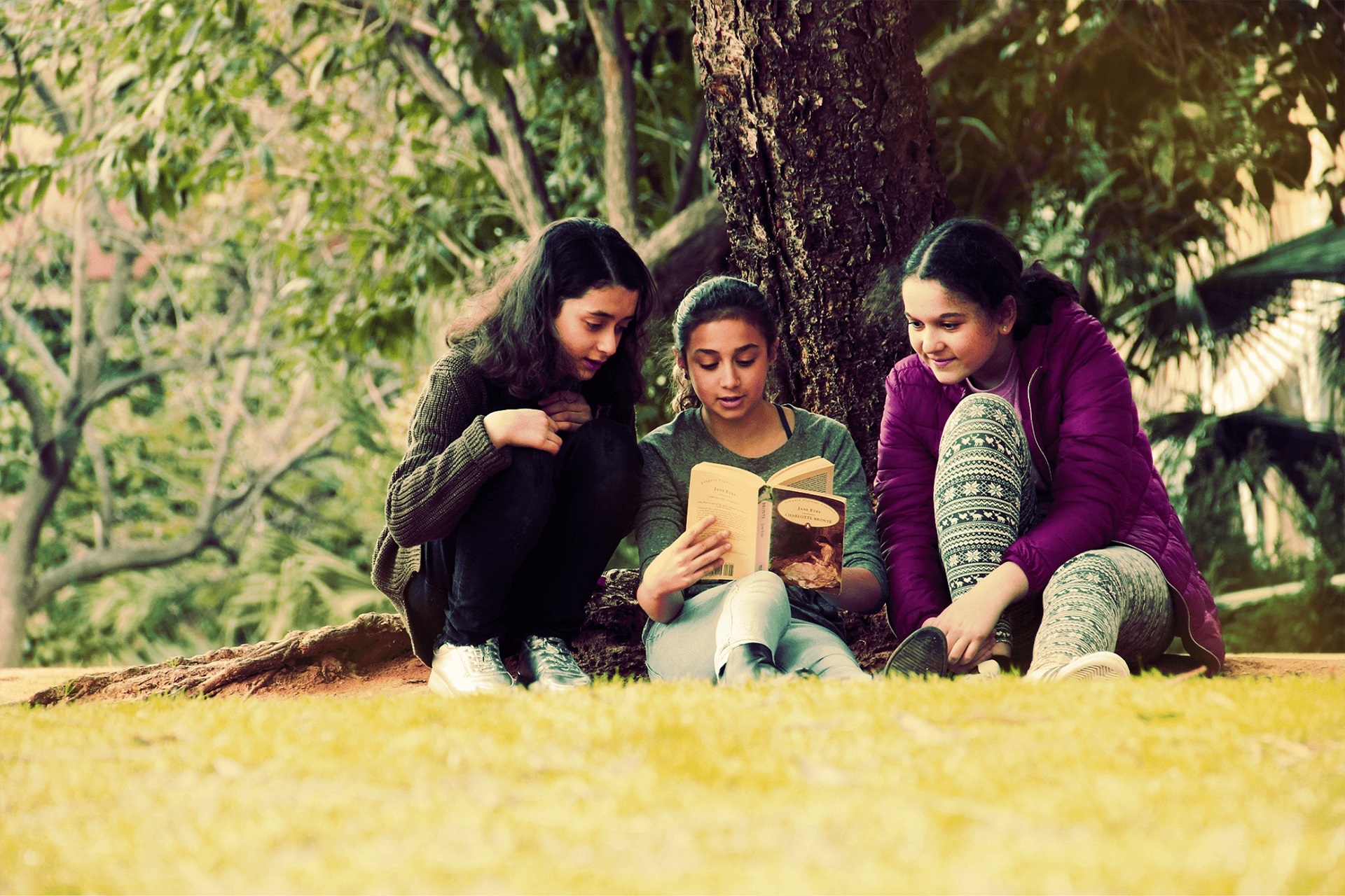 בית ספר לאנגלית רייצ'ל